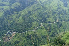 DSC01040a